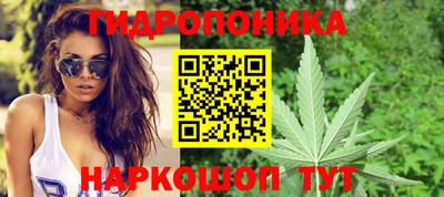 jwh Татарск