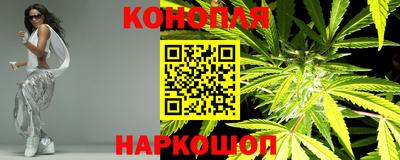 крисы Тверь