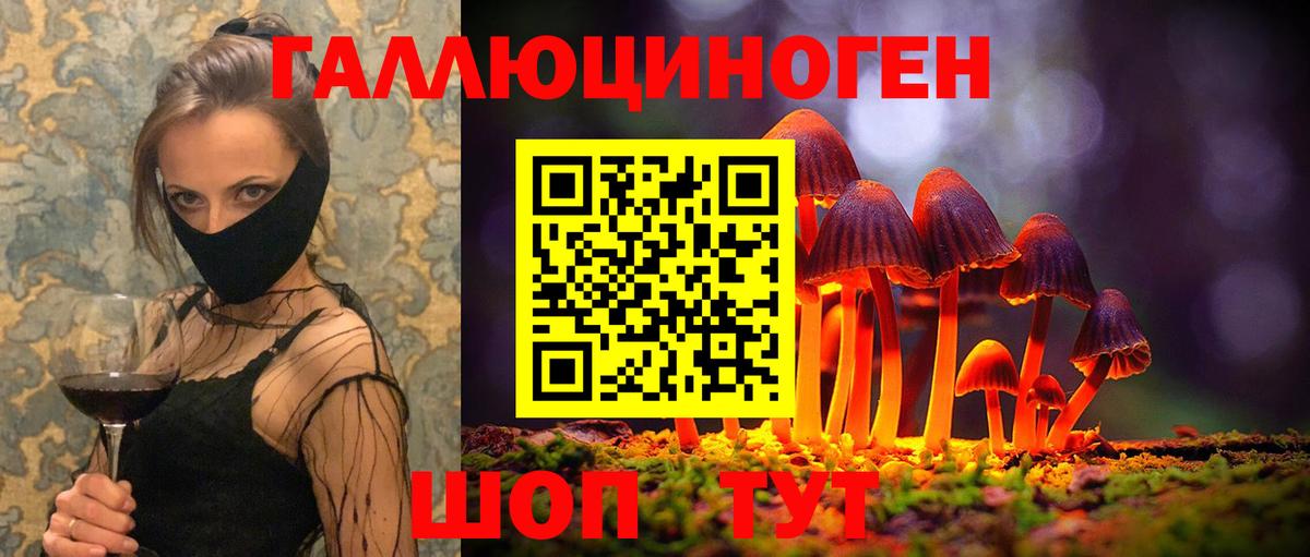 Псилоцибиновые грибы GOLDEN TEACHER Аргун